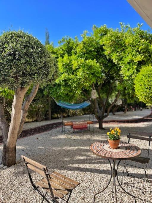 Paphos Teo Apartment מראה חיצוני תמונה