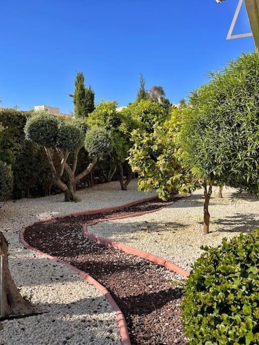 Paphos Teo Apartment מראה חיצוני תמונה