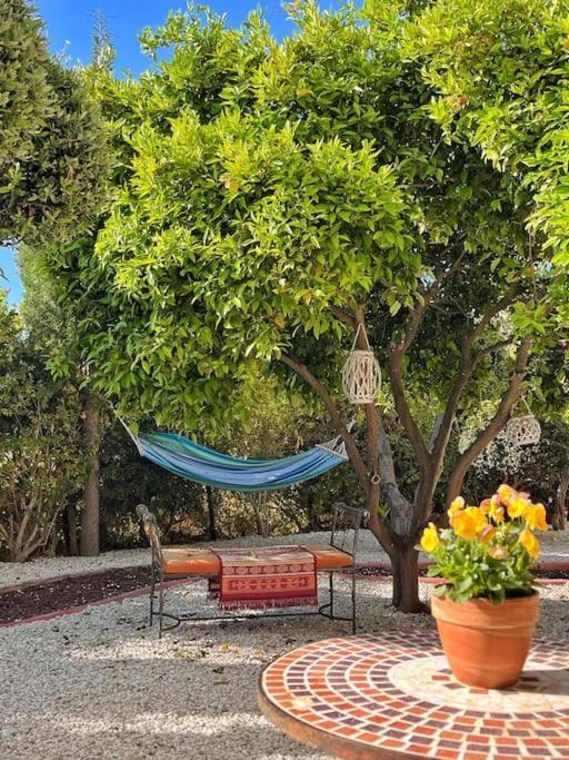 Paphos Teo Apartment מראה חיצוני תמונה